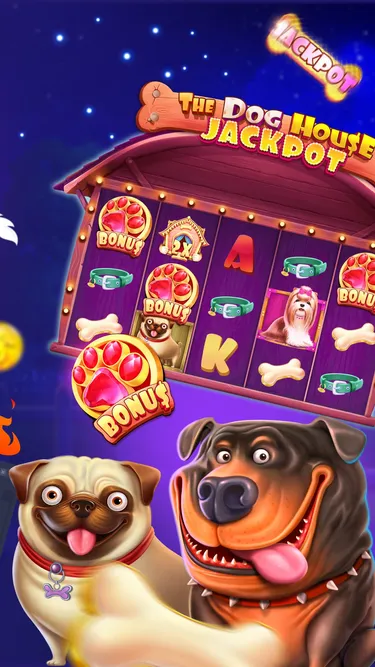 Spinsy Casino Screenshot